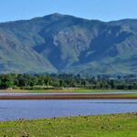 Rawal Dam Water